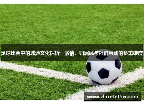 足球比赛中的球迷文化探析：激情、归属感与社群互动的多重维度